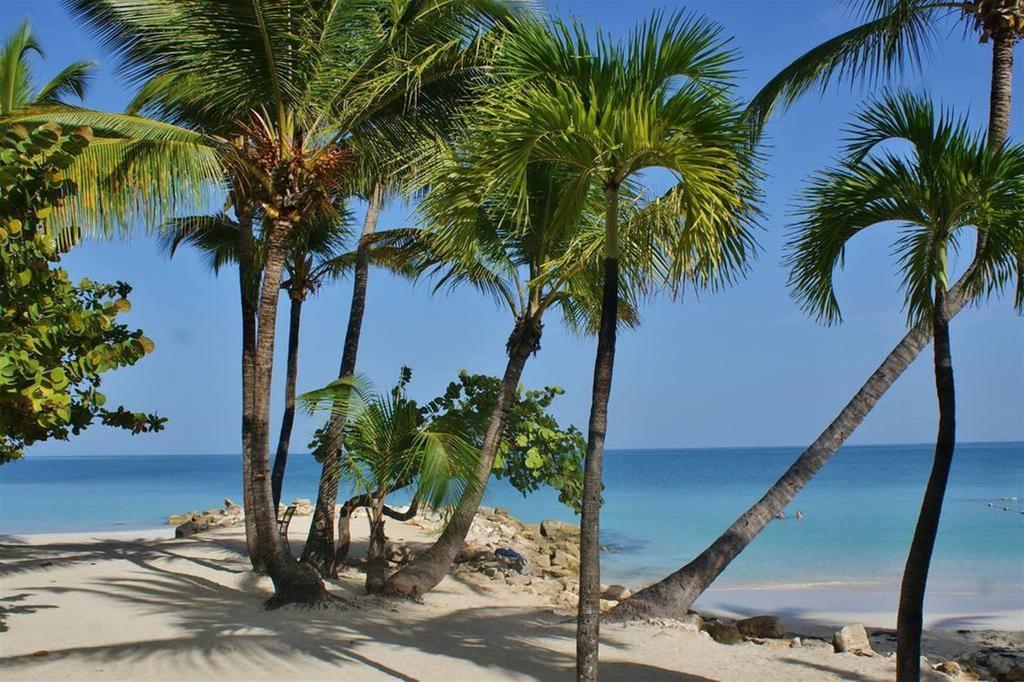 Siboney Beach Club St. John's Zewnętrze zdjęcie